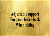 LS3  Lumbar Support